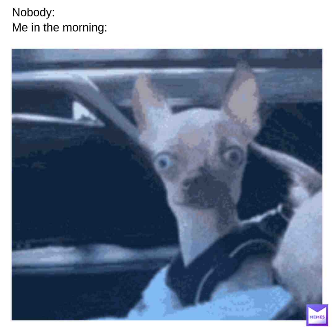 Twitter-lifeoflatto777
Instagram-lifeoflatto777 #fyp #fyp #fypage #fypwaitthisisnttiktok #fypmeme #fypp #fypthisisnttiktok #fypthis #fypidkifthisworks #fyphave #fypmemes #fyppage