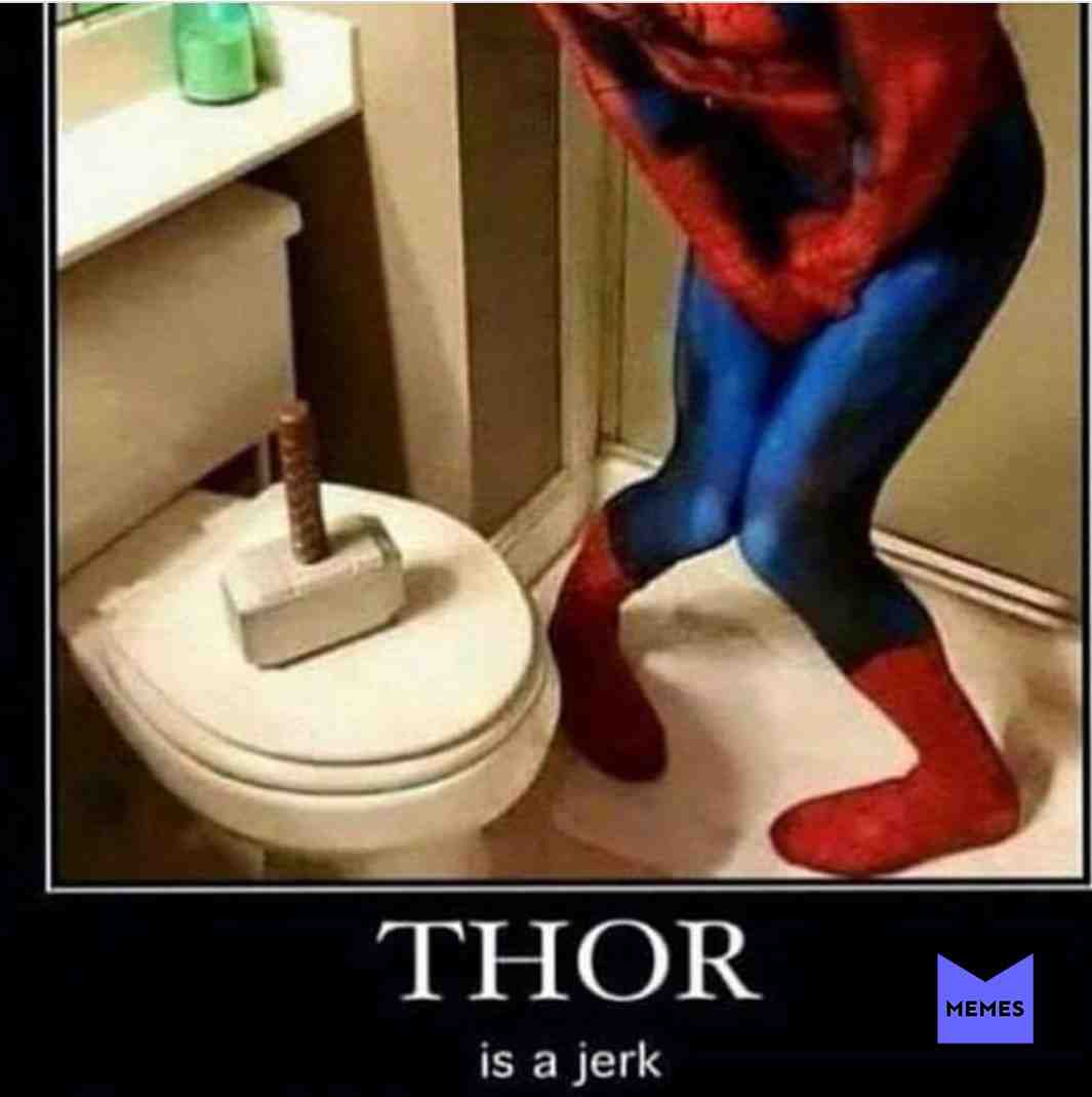 Meme shared by @Niffler921