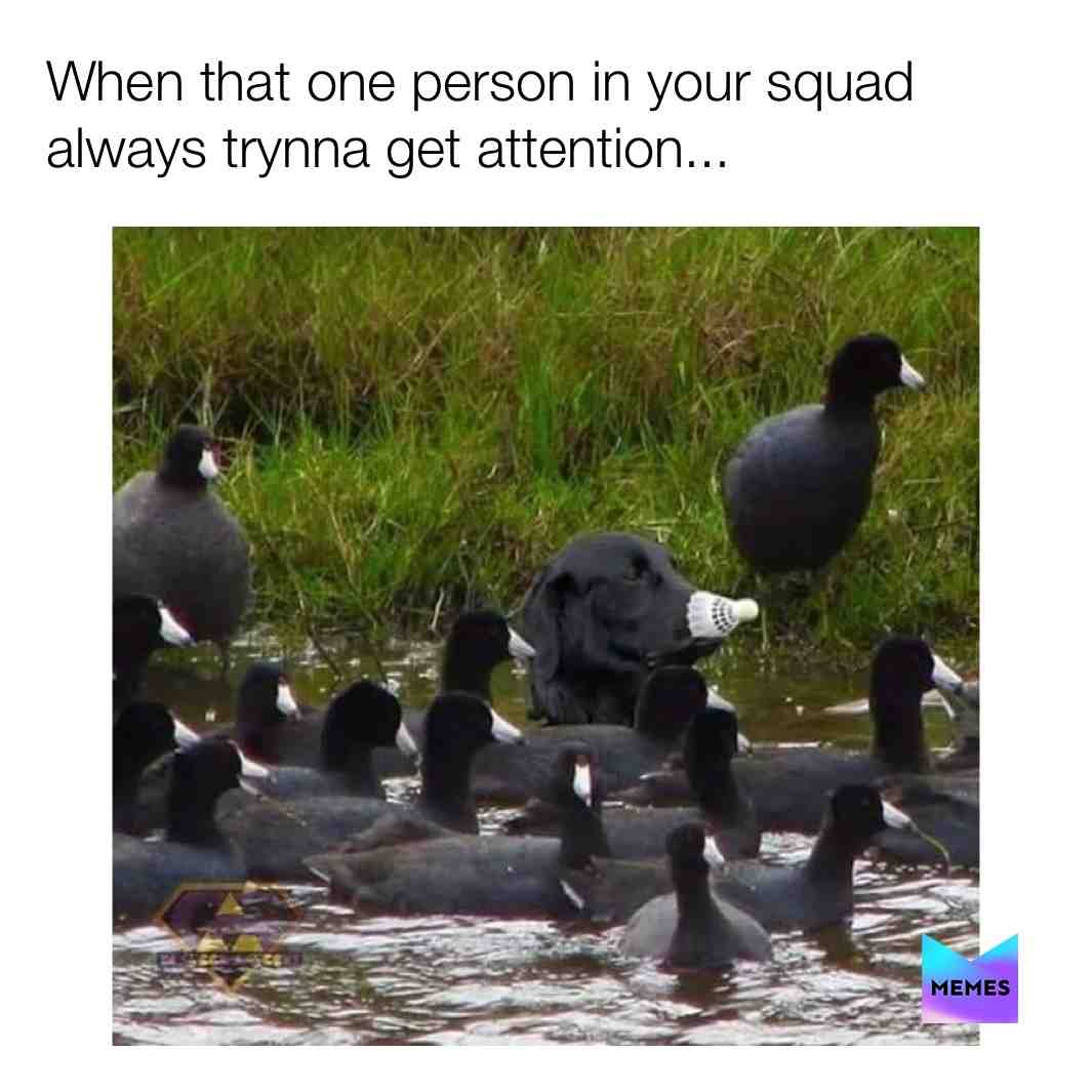 Meme shared by @Niffler921
