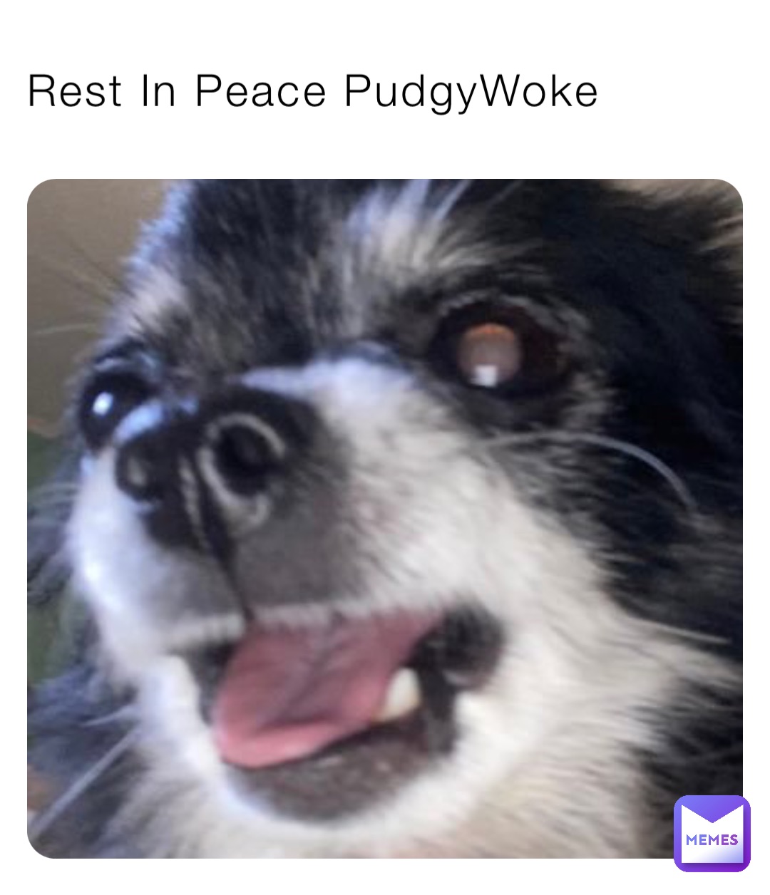 Rest In Peace PudgyWoke