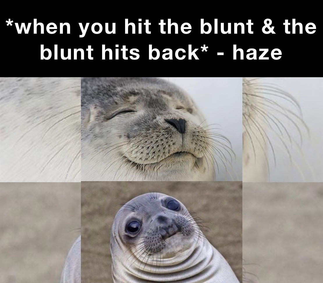 *when you hit the blunt & the blunt hits back* - haze | @stan_nufer | Memes