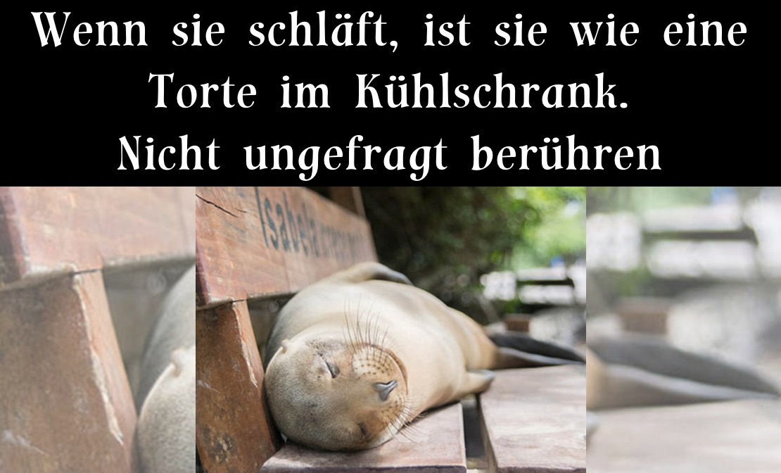 Wenn sie schläft, ist sie wie eine Torte im Kühlschrank. 
Nicht ungefragt berühren 