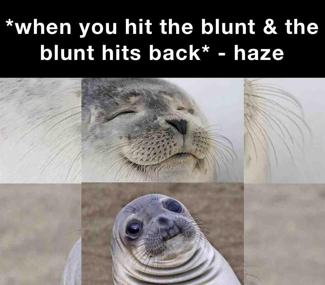 Meme preview