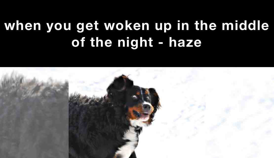 Meme preview