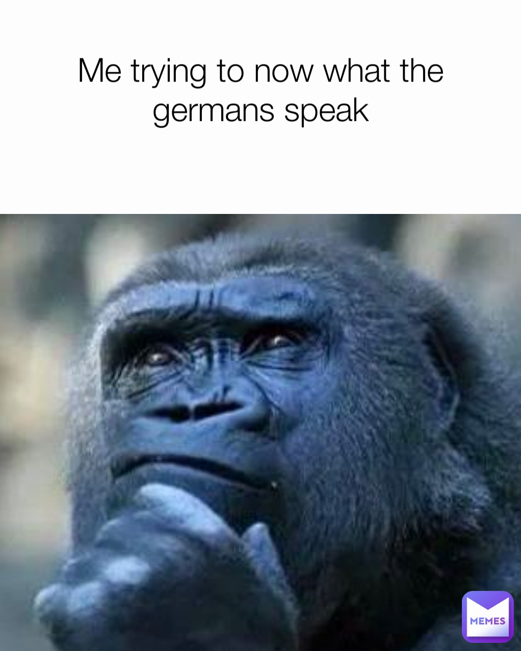 Me trying to now what the germans speak