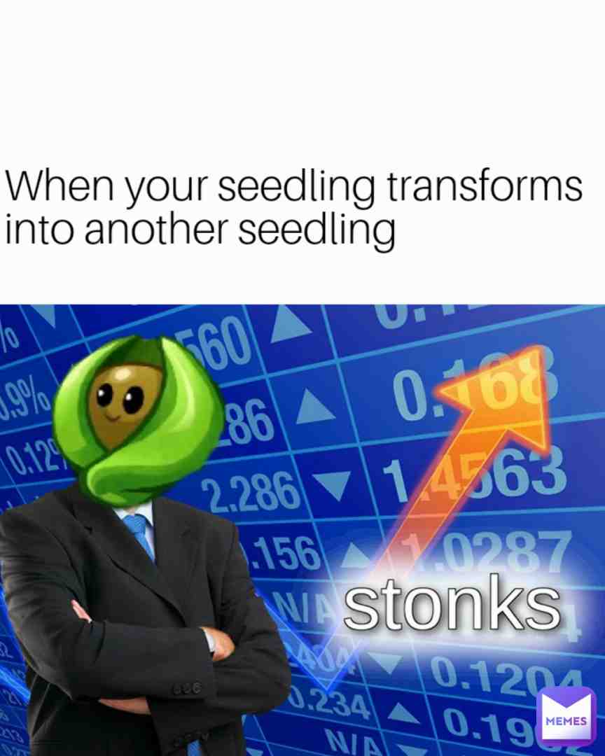 Meme shared by @litle_tooner