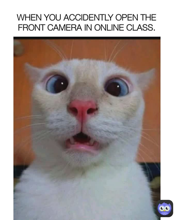 WHEN YOU ACCIDENTLY OPEN THE FRONT CAMERA IN ONLINE CLASS.