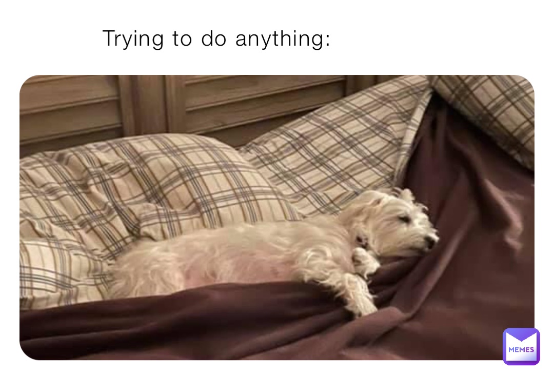 Trying to do anything: