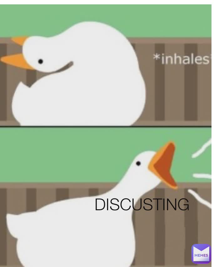  DISGUSTING DISCUSTING DISCUSTING