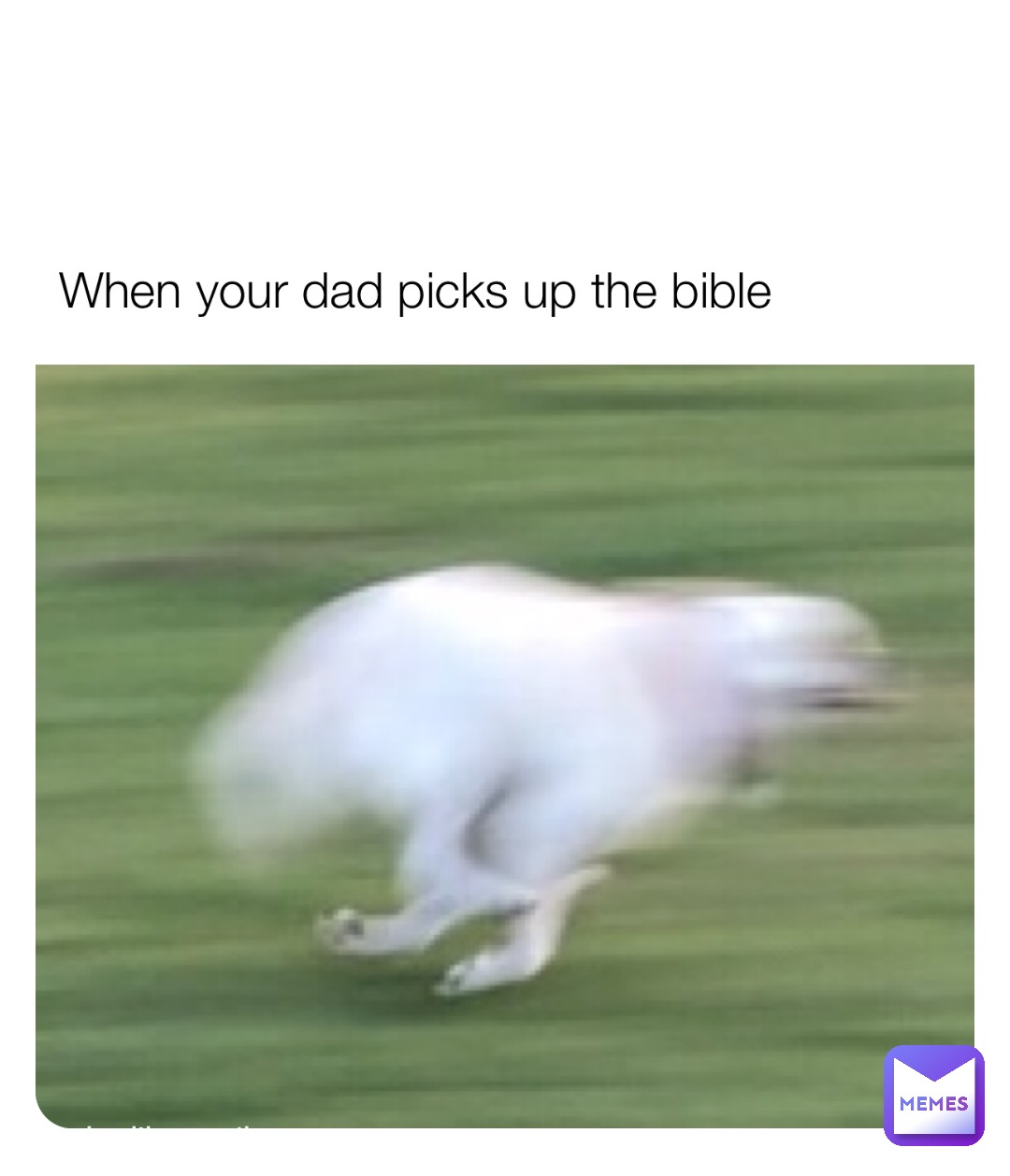 Double tap to edit