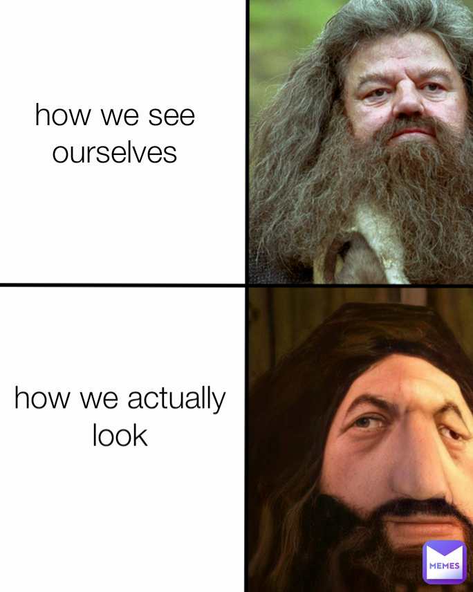 how we see ourselves how we actually look

