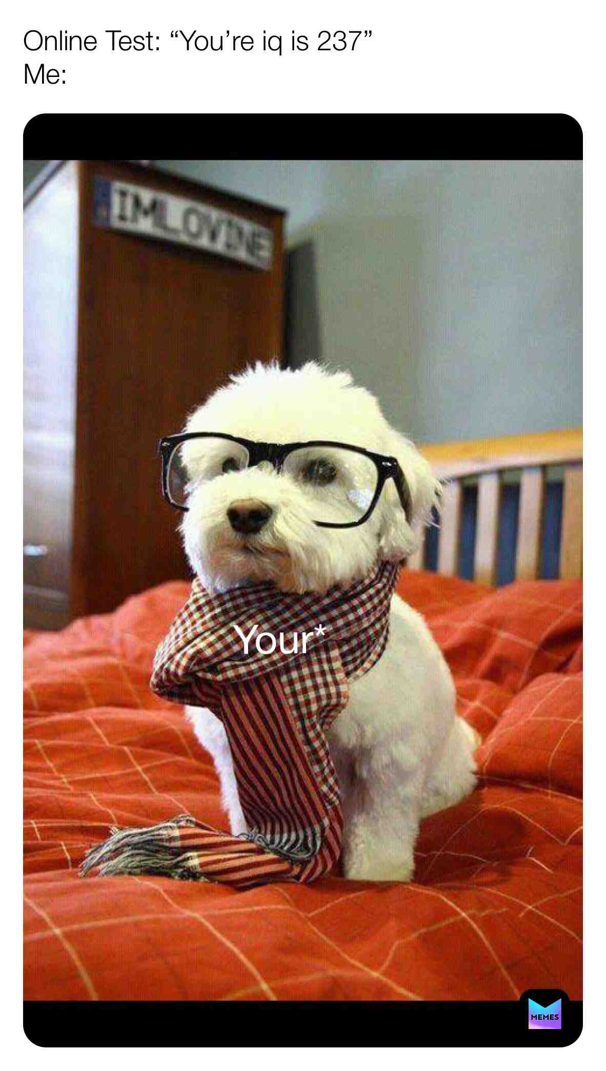 follow us @pupsglow for more #gooddog #pupper #dog