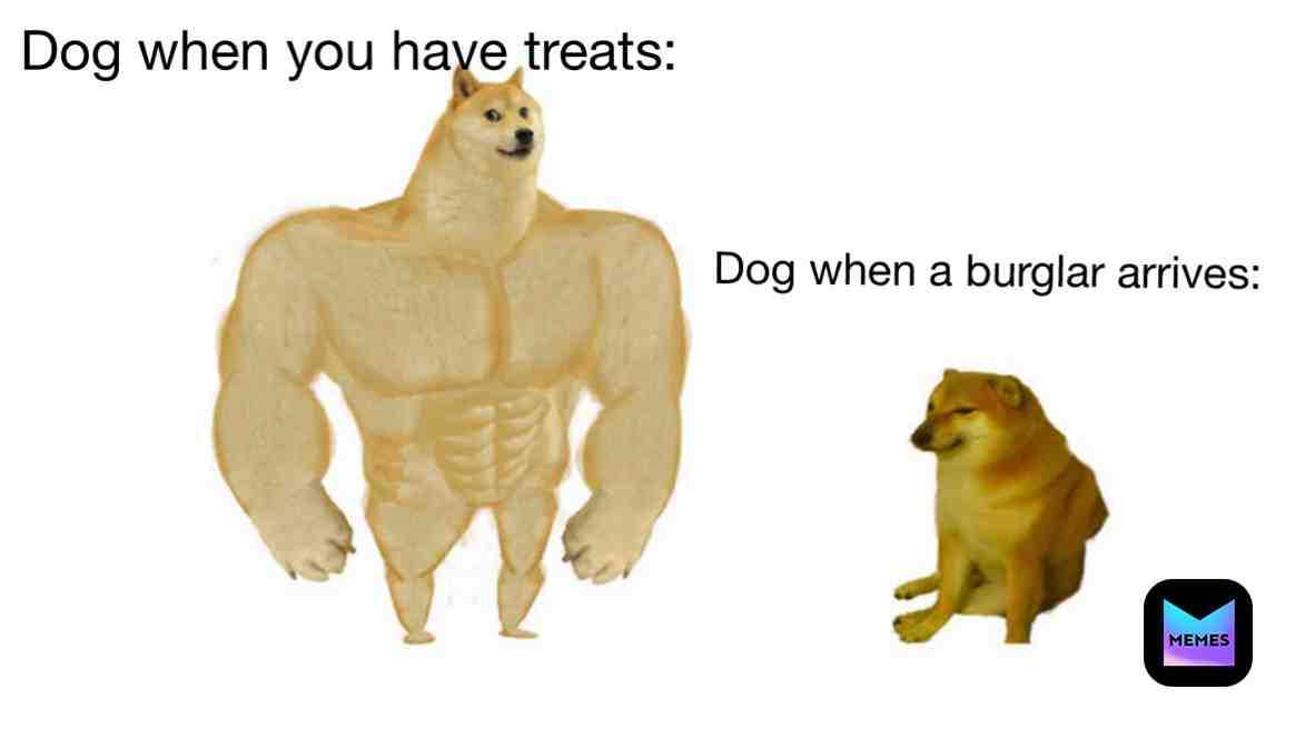 #gooddog #pupper #dog #dogmemes #puppy #dogslife