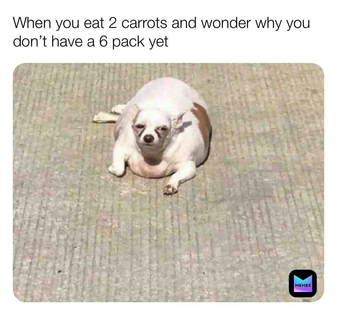 #gooddog #pupper #dog #dogmemes #puppy #dogslife