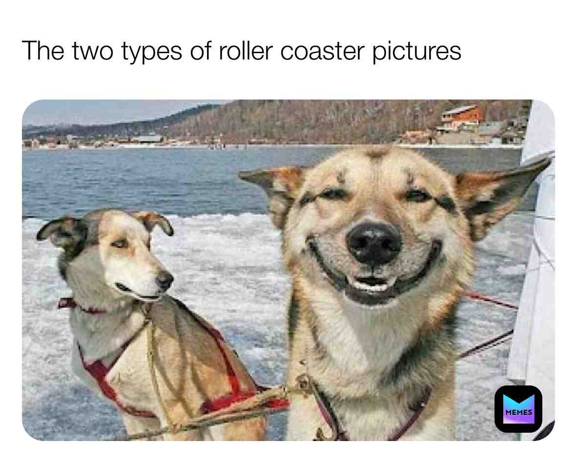 #gooddog #pupper #dog #dogmemes #puppy #dogslife