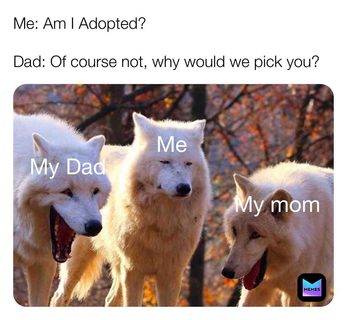 Follow us @pupsglow for more #gooddog #pupper #dog #dogmemes #puppy #dogslife #wolf
