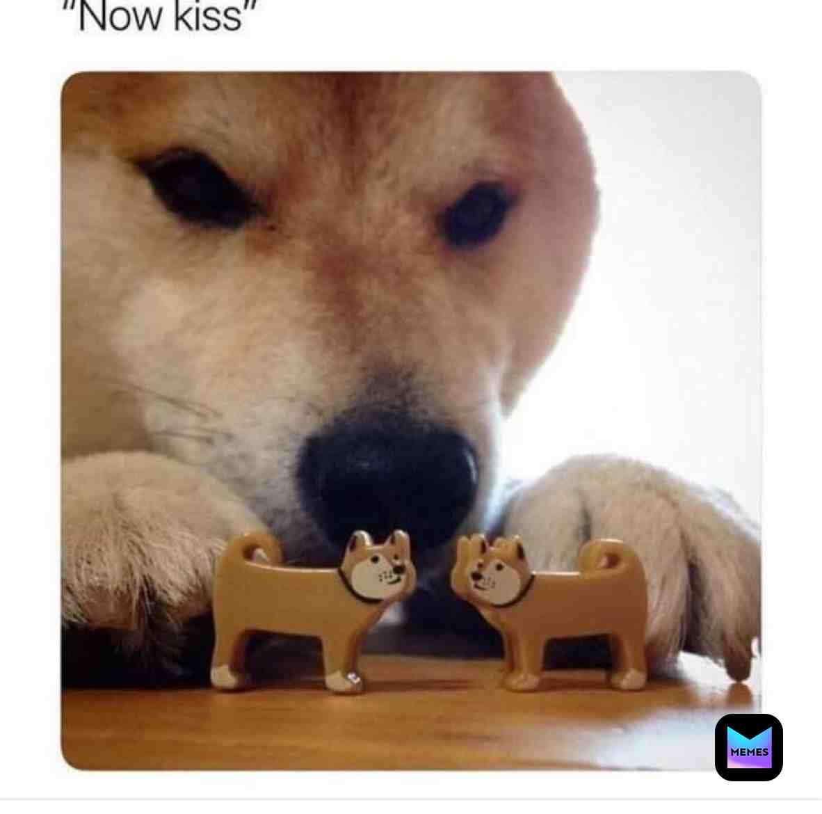 Follow us @pupsglow for more #gooddog #pupper #dog #dogmemes #puppy #dogslife