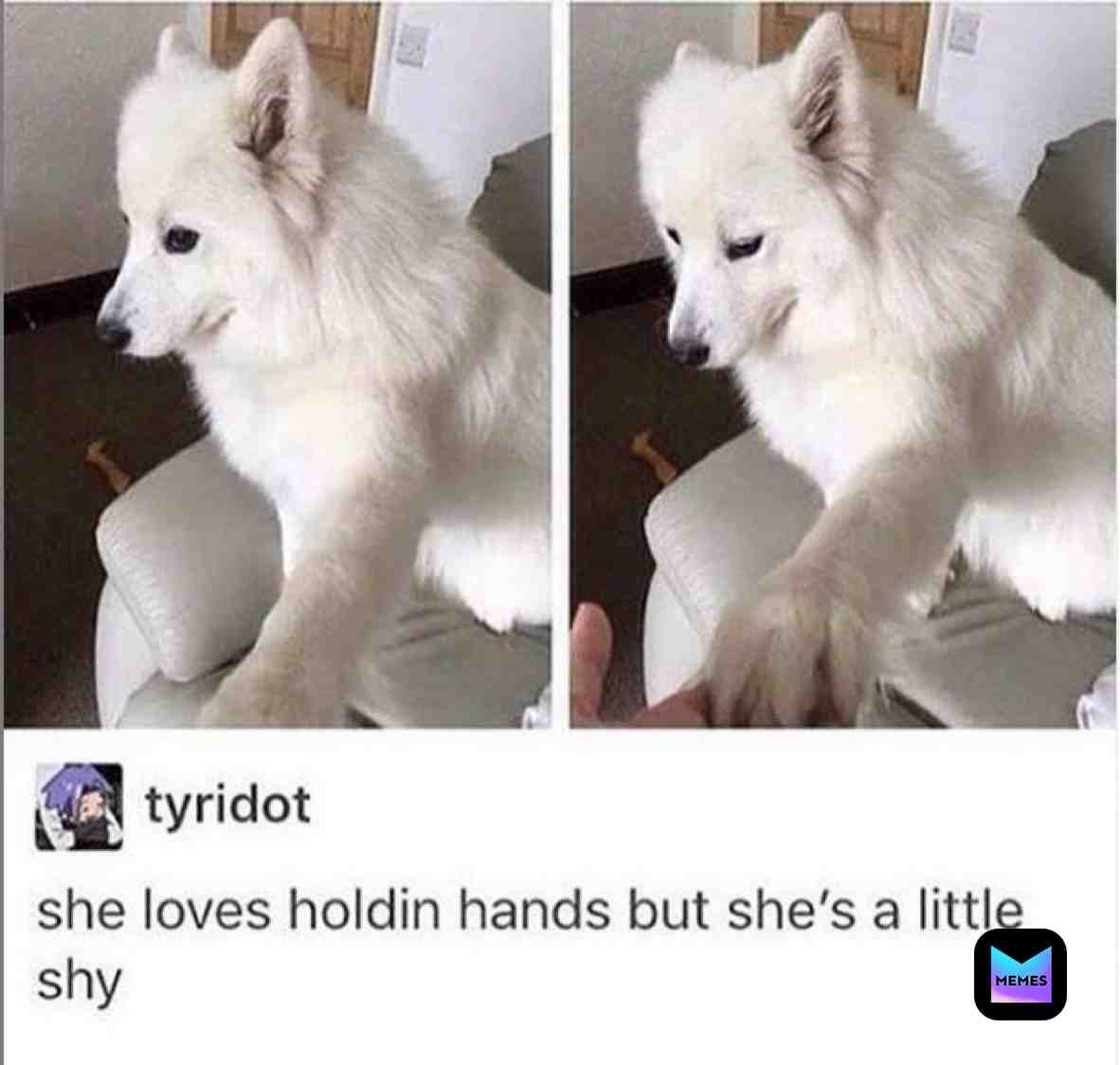 Follow us @PupsGlow #gooddog #pupper #dogmemes #puppy #dogslife #dog
