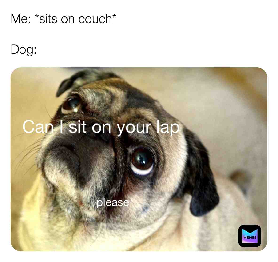 #gooddog #pupper #dog #dogmemes #puppy #dogslife