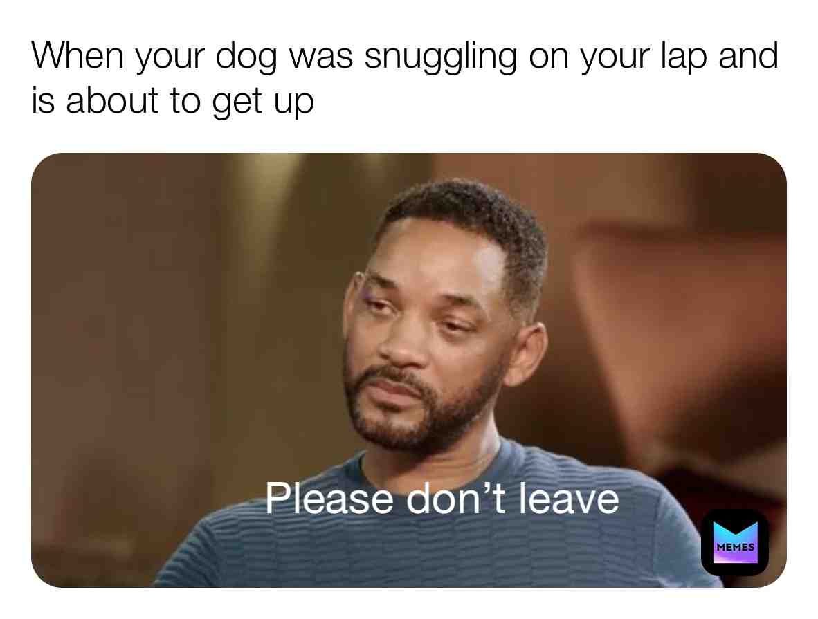Follow @pupsglow for more #gooddog #pupper #dog #dogmemes #puppy #dogslife