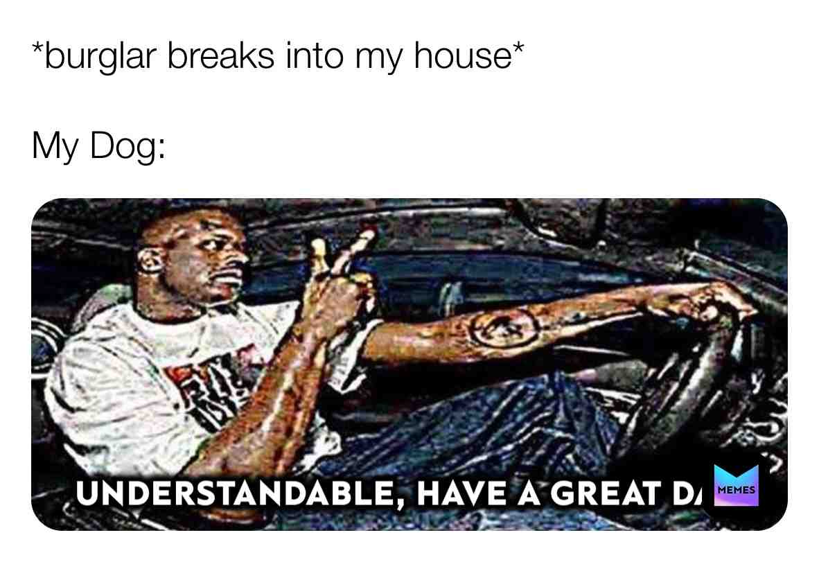#gooddog #pupper #dog #dogmemes #puppy #dogslife