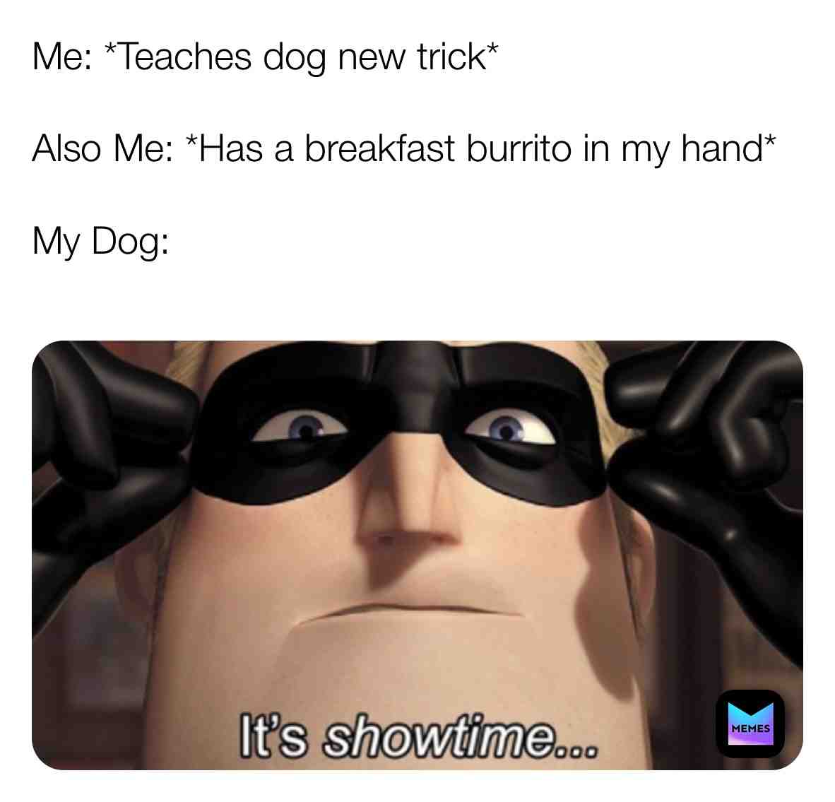 Follow @pupsglow for more #gooddog  #pupper  #dog  #dogmemes  #puppy  #dogslife