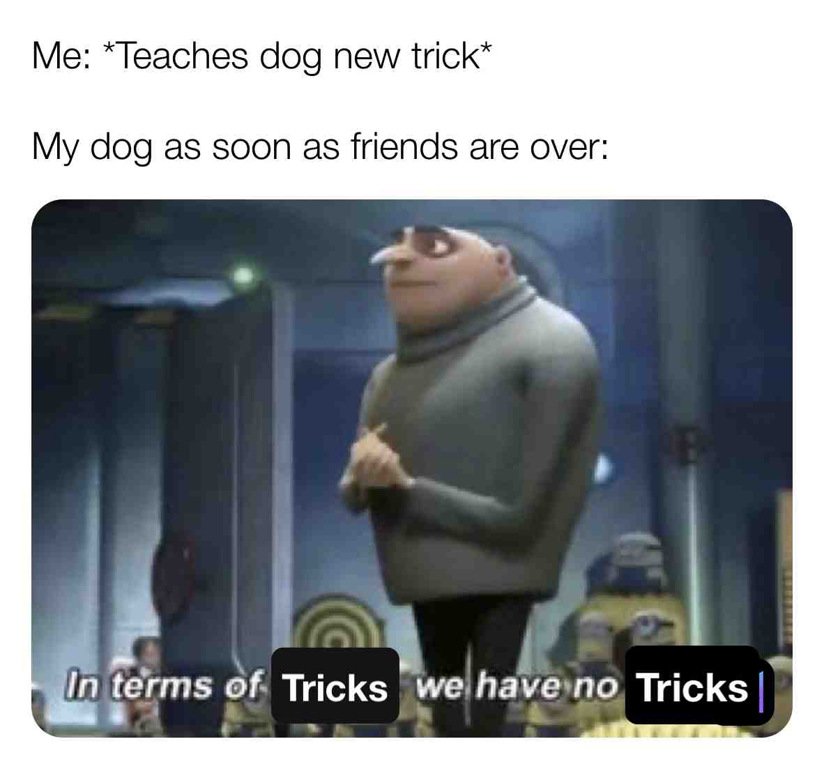 Follow @pupsglow for more  #gooddog  #pupper  #dog  #dogmemes  #puppy  #dogslife