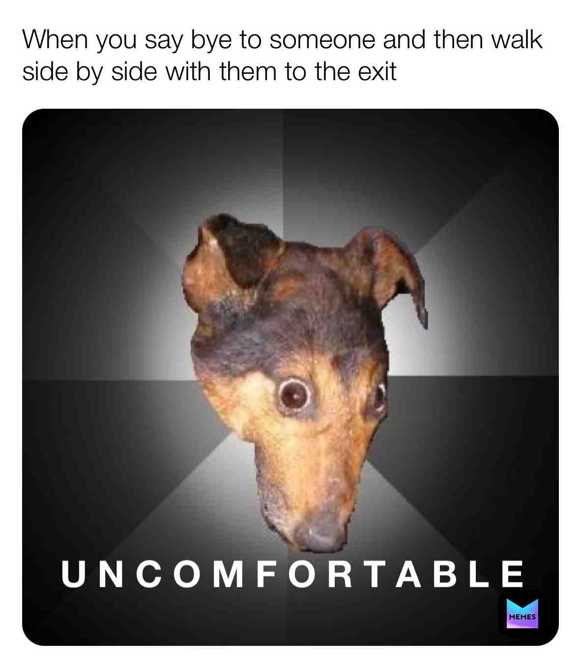 Follow @pupsglow for more  #gooddog  #pupper  #dog  #dogmemes  #puppy  #dogslife