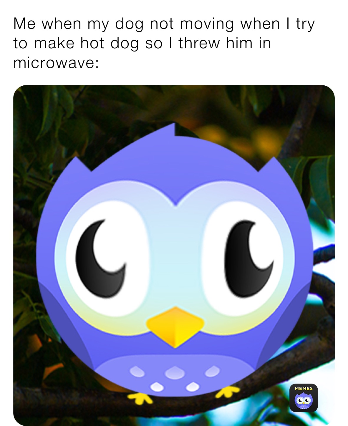 Meme by thekidintheback