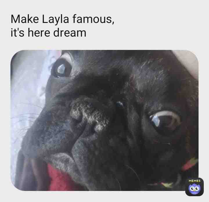 Meme shared by @scott403