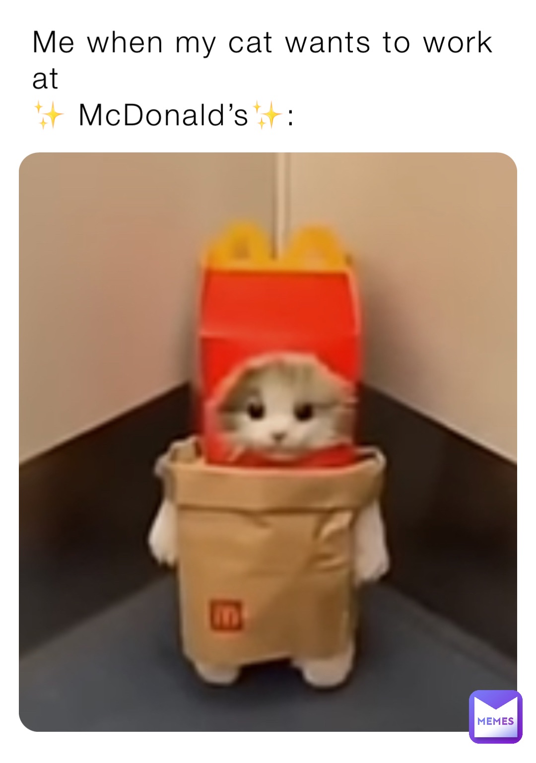 Me when my cat wants to work at 
✨ McDonald’s✨: