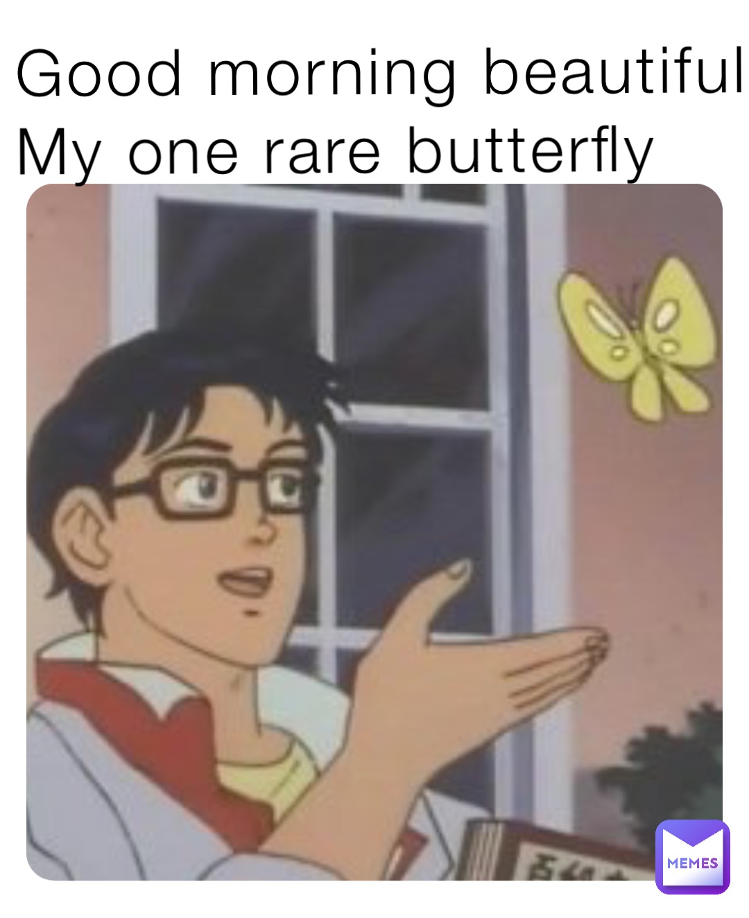 Good morning beautiful 
My one rare butterfly