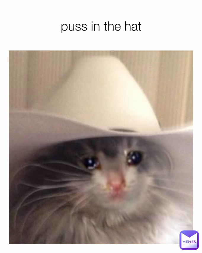 puss in the hat