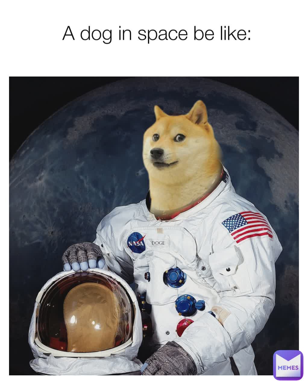 A dog in space be like: