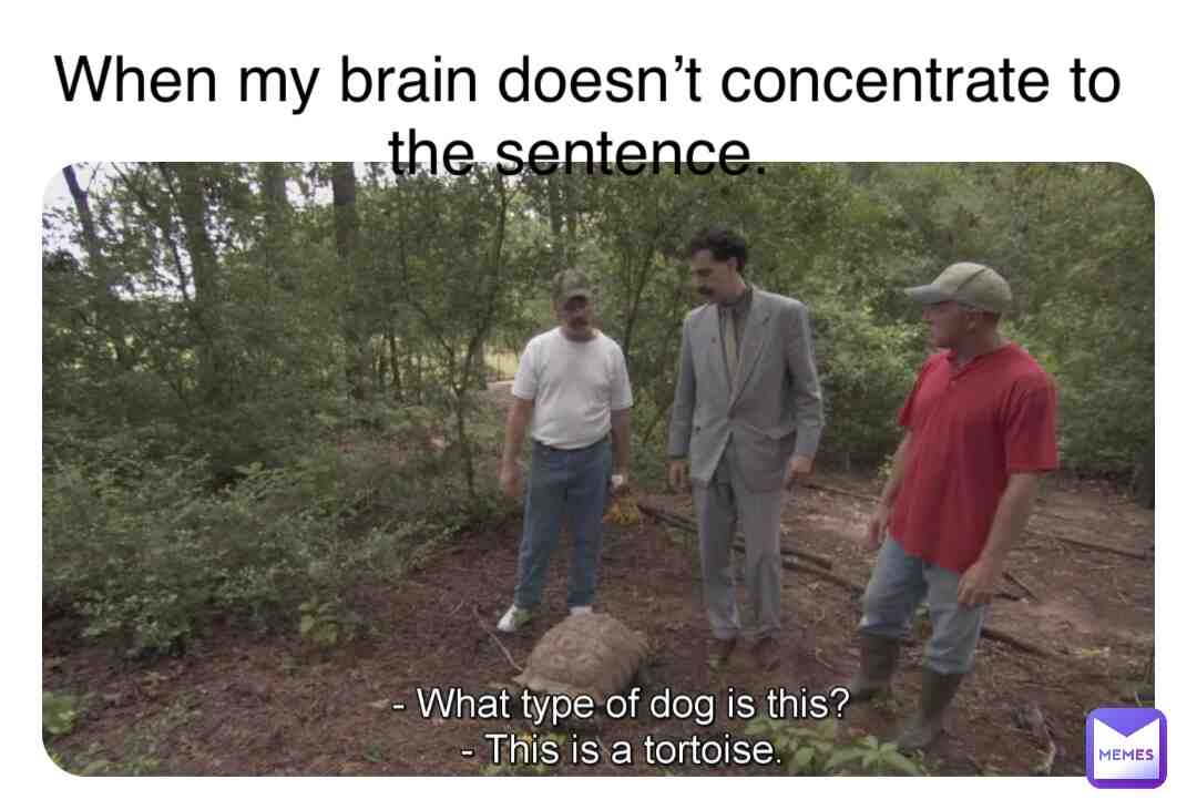 Meme #2