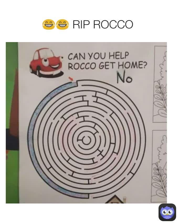 😂😂 RIP ROCCO 