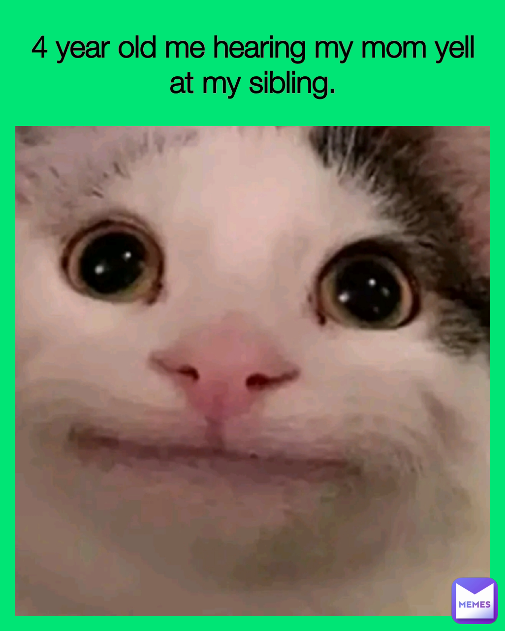4 year old me hearing my mom yell at my sibling.
