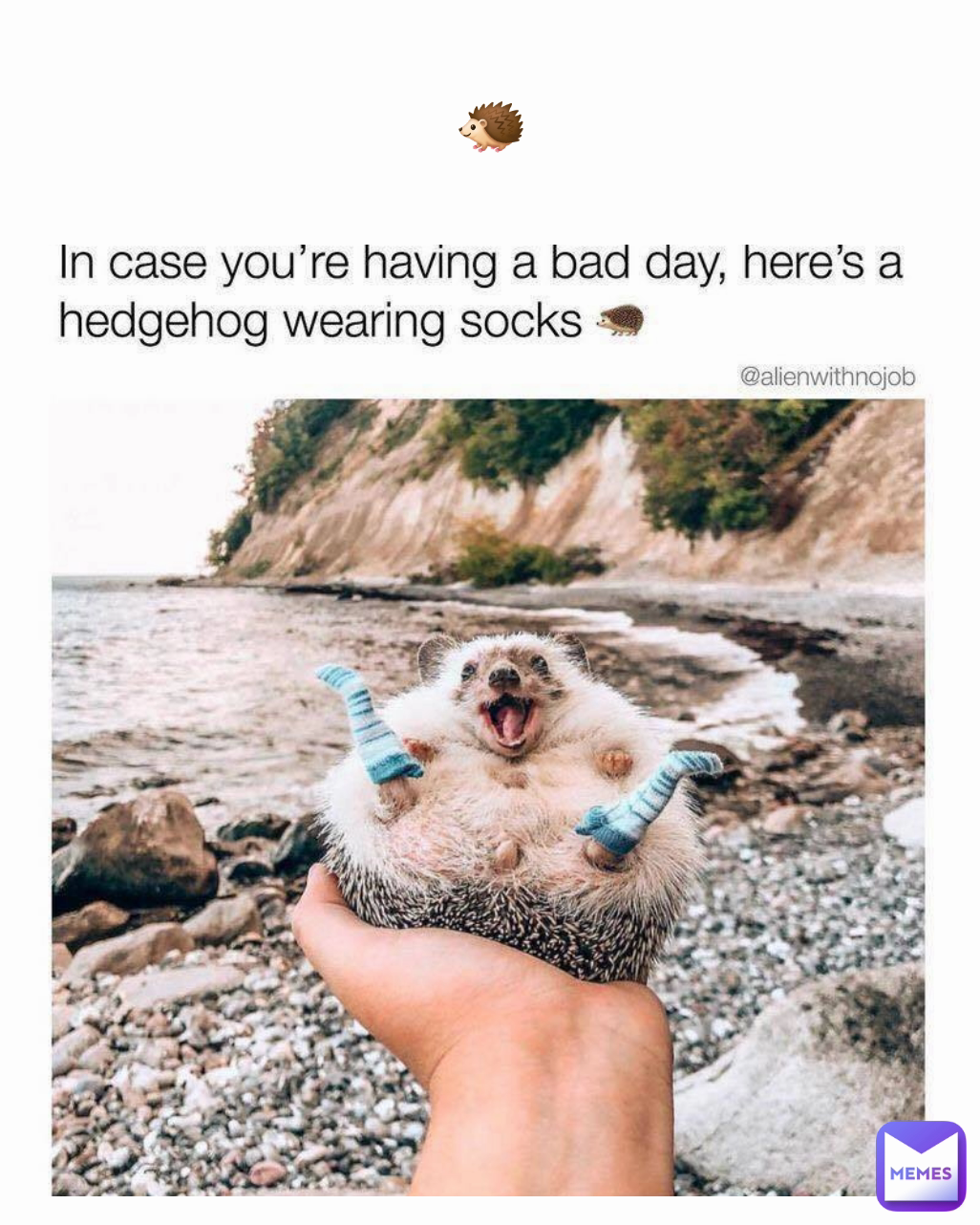 🦔