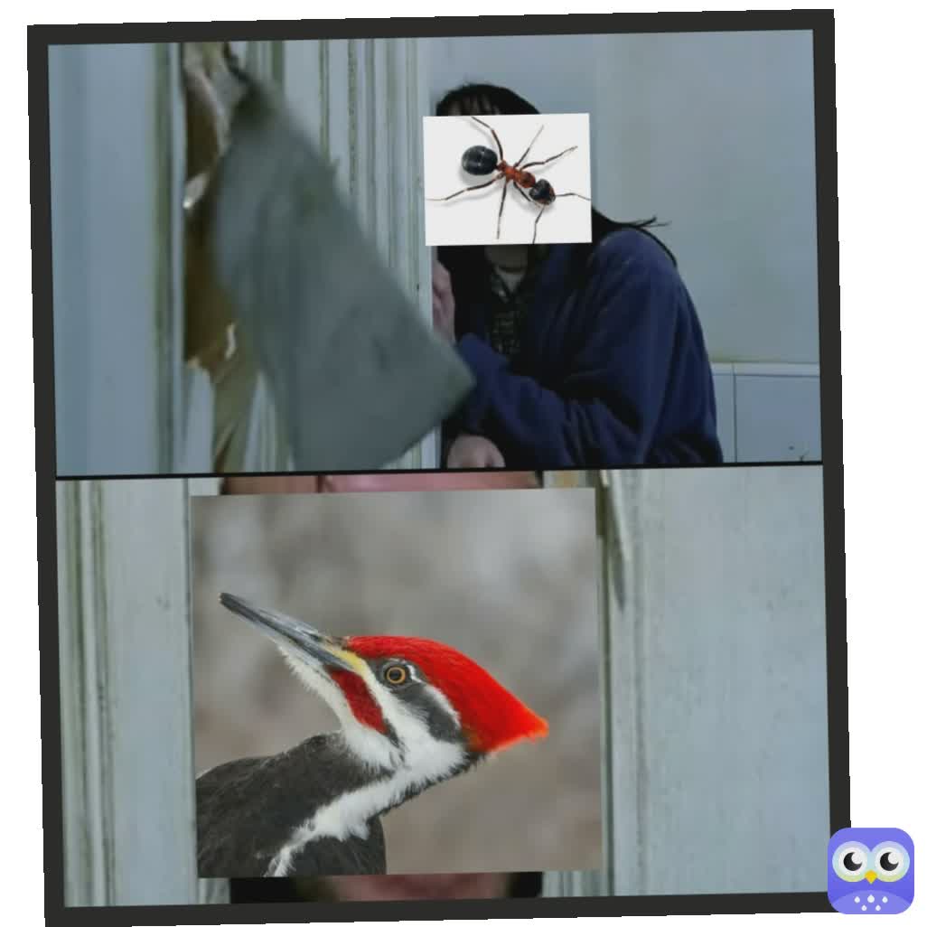 Meme by the_funny_gamer