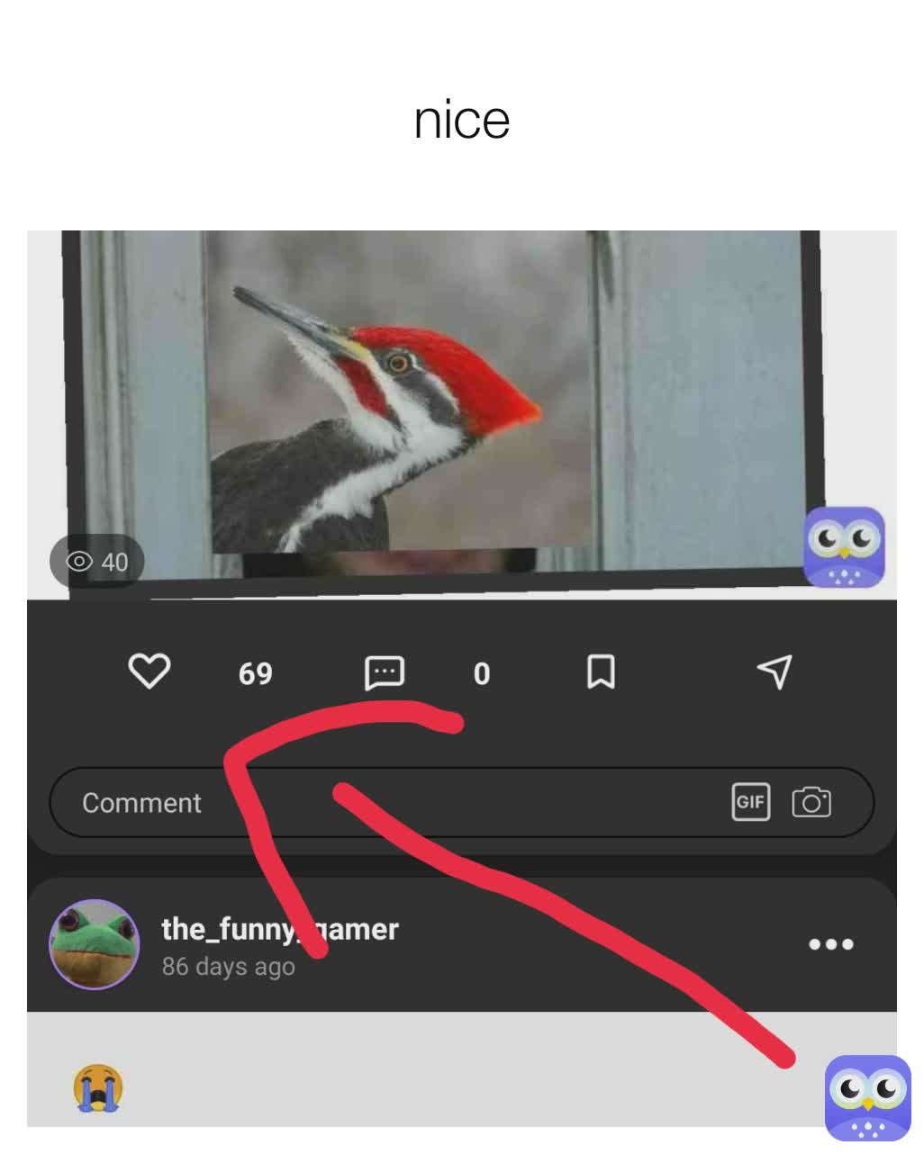 Meme by the_funny_gamer