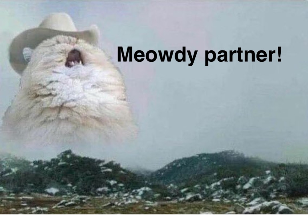 Meowdy Partner!