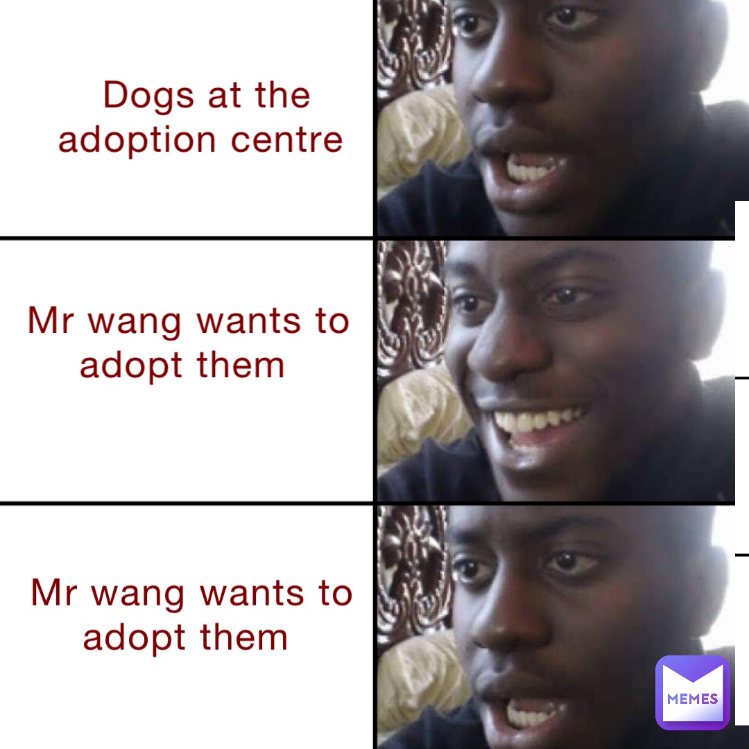 Dogs at the adoption centre Mr wang wants to adopt them Mr wang wants to adopt them