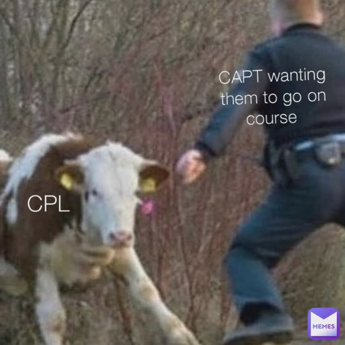 Meme by _hoganbogan_04