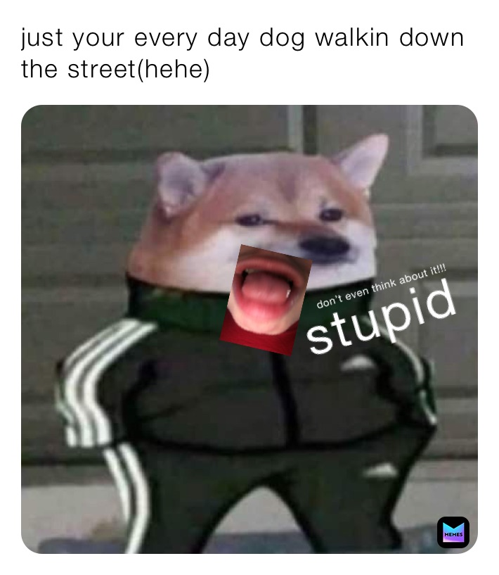 Meme by kkleclairemazerolle