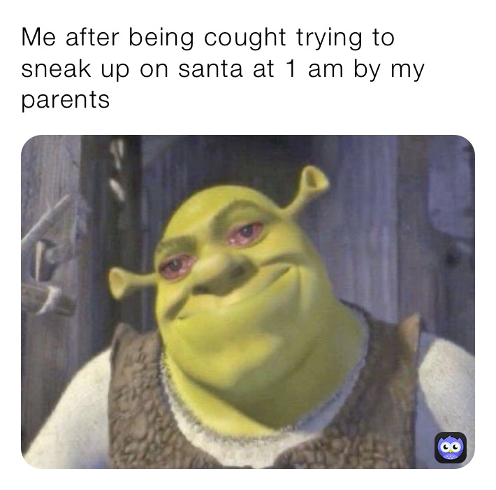 Me after being cought trying to sneak up on santa at 1 am by my parents 