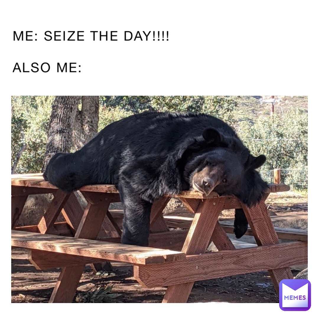 Me: Seize the day!!!! Also me: | @kendoggy702 | Memes