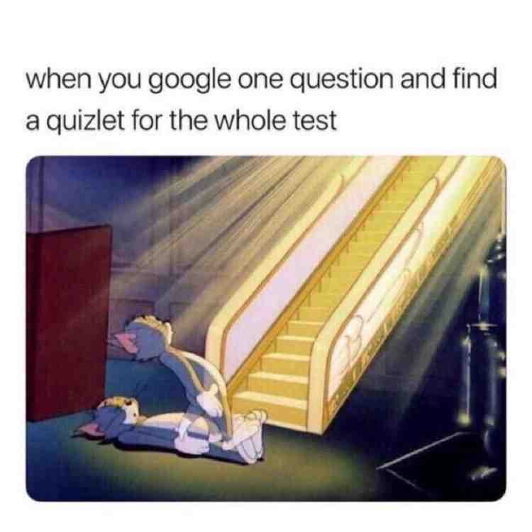 Ok this is literally so true   #answers
