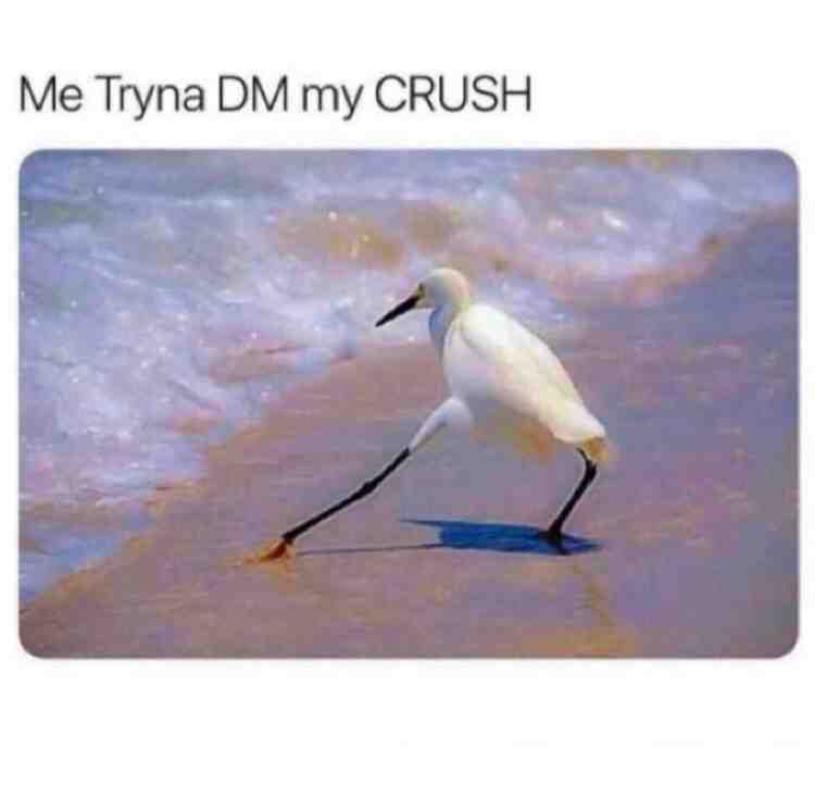 Honestly tho 😶