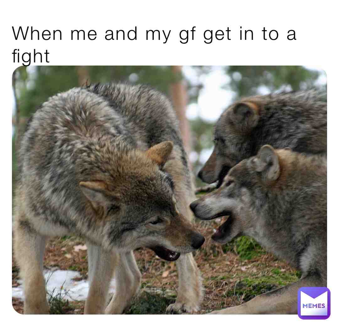 Meme shared by @mr_furry