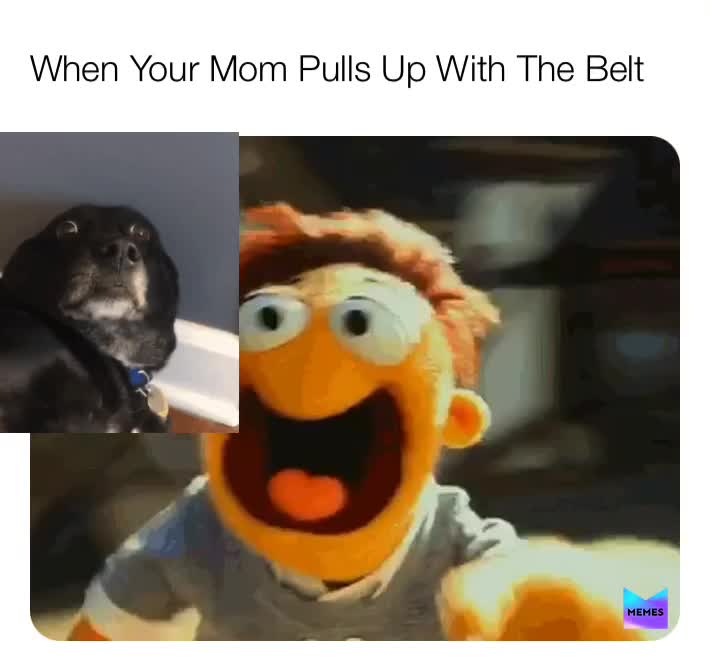 belt meme